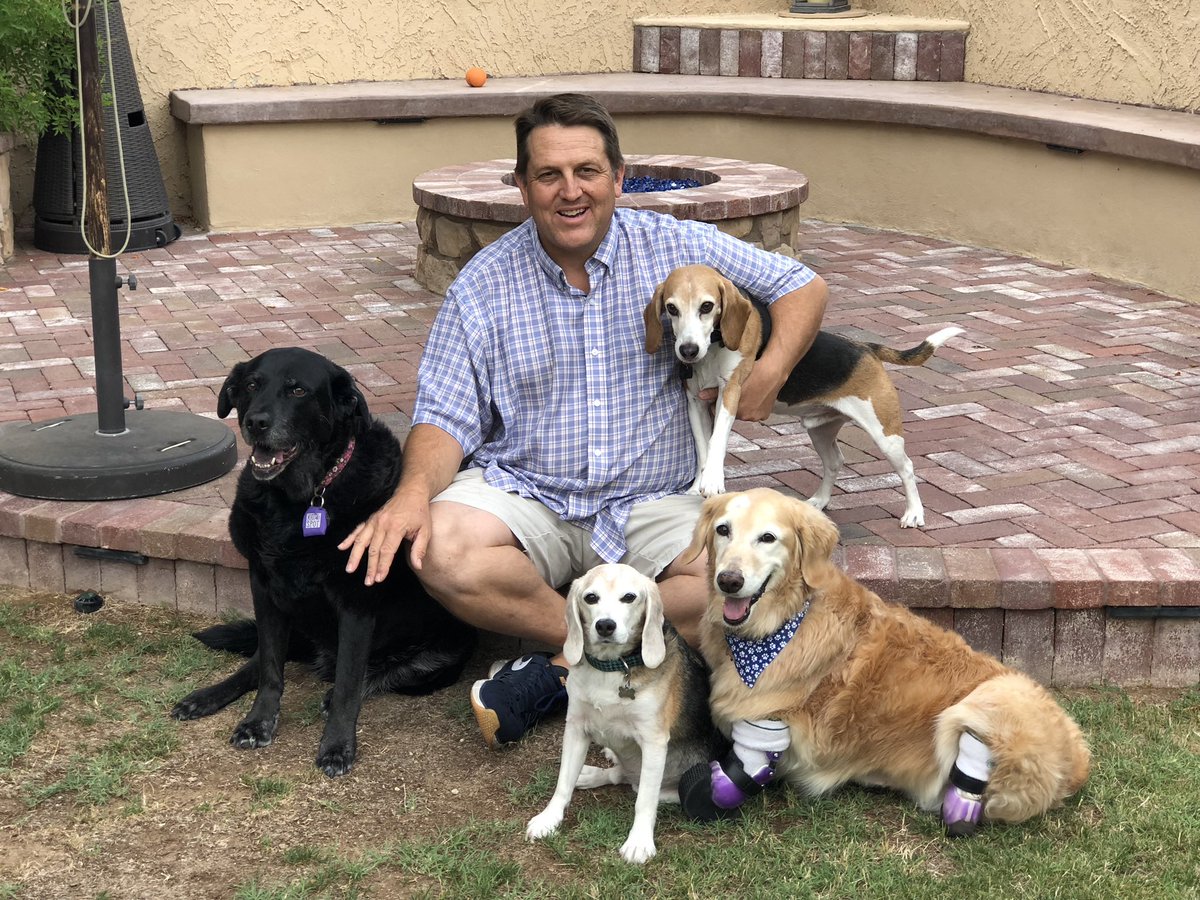 ChiChiRescueDog's tweet photo. Happy Father’s Day 💜

 #chichirescuedog #amputee #rescuedog #therapydog #herodog #quadamputee @bionicpets #goldenretriever #golden #goldensofinstagram     #sharingloveonestepatatime #iamadaptive #prosthesis #prosthetics #limbdifference #dogsontwitter https://t.co/tGmBdVSqqs