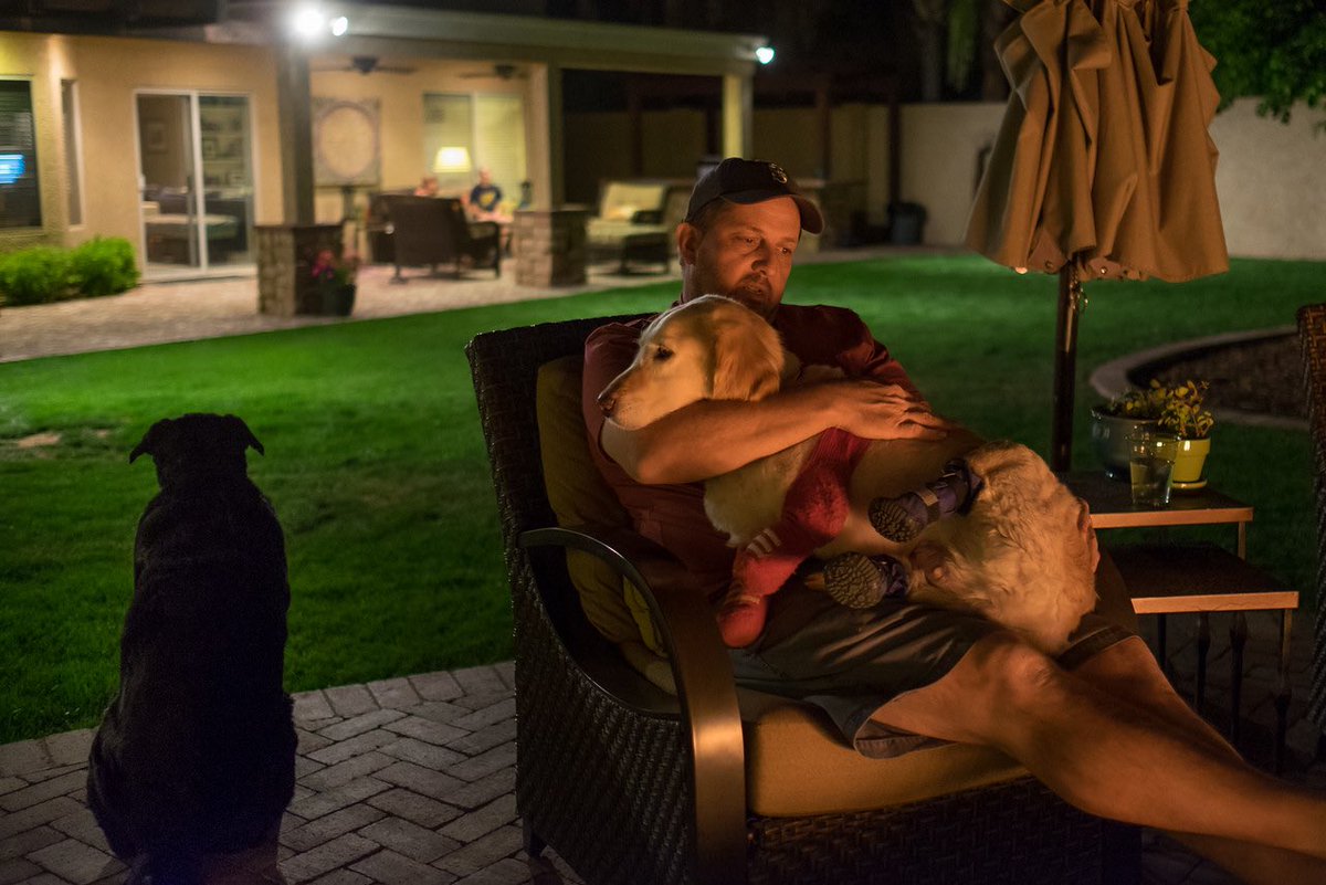 Happy Father’s Day 💜

 #chichirescuedog #amputee #rescuedog #therapydog #herodog #quadamputee <a href="/bionicpets/">Bionic Pets</a> #goldenretriever #golden #goldensofinstagram     #sharingloveonestepatatime #iamadaptive #prosthesis #prosthetics #limbdifference #dogsontwitter