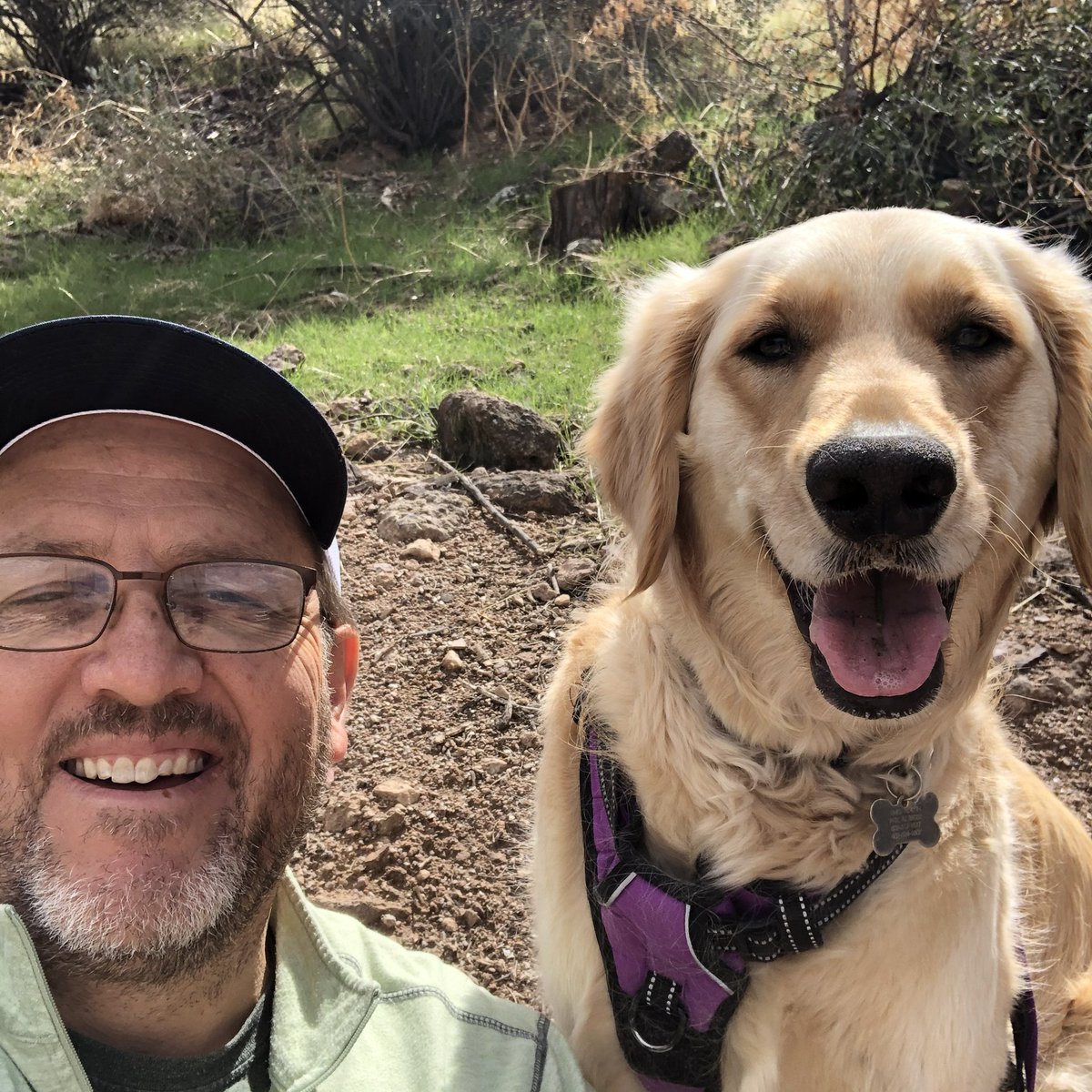 ChiChiRescueDog's tweet photo. Happy Father’s Day 💜

 #chichirescuedog #amputee #rescuedog #therapydog #herodog #quadamputee @bionicpets #goldenretriever #golden #goldensofinstagram     #sharingloveonestepatatime #iamadaptive #prosthesis #prosthetics #limbdifference #dogsontwitter https://t.co/tGmBdVSqqs