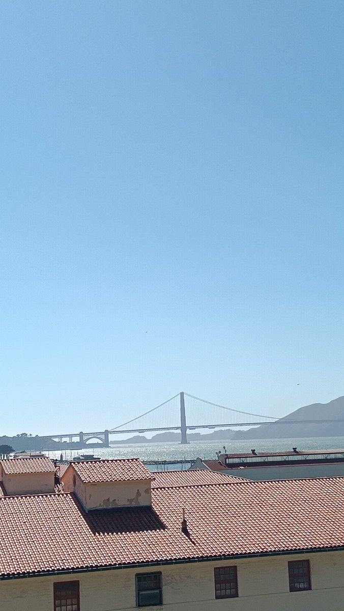 alanrangelmx's tweet photo. 4:20 pm https://t.co/xDp3tAyblG