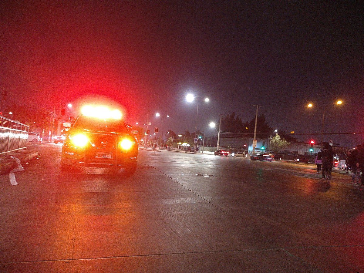 Víctor ビクトル、猫が好きです。( ◜‿◝ )♡ tweet media