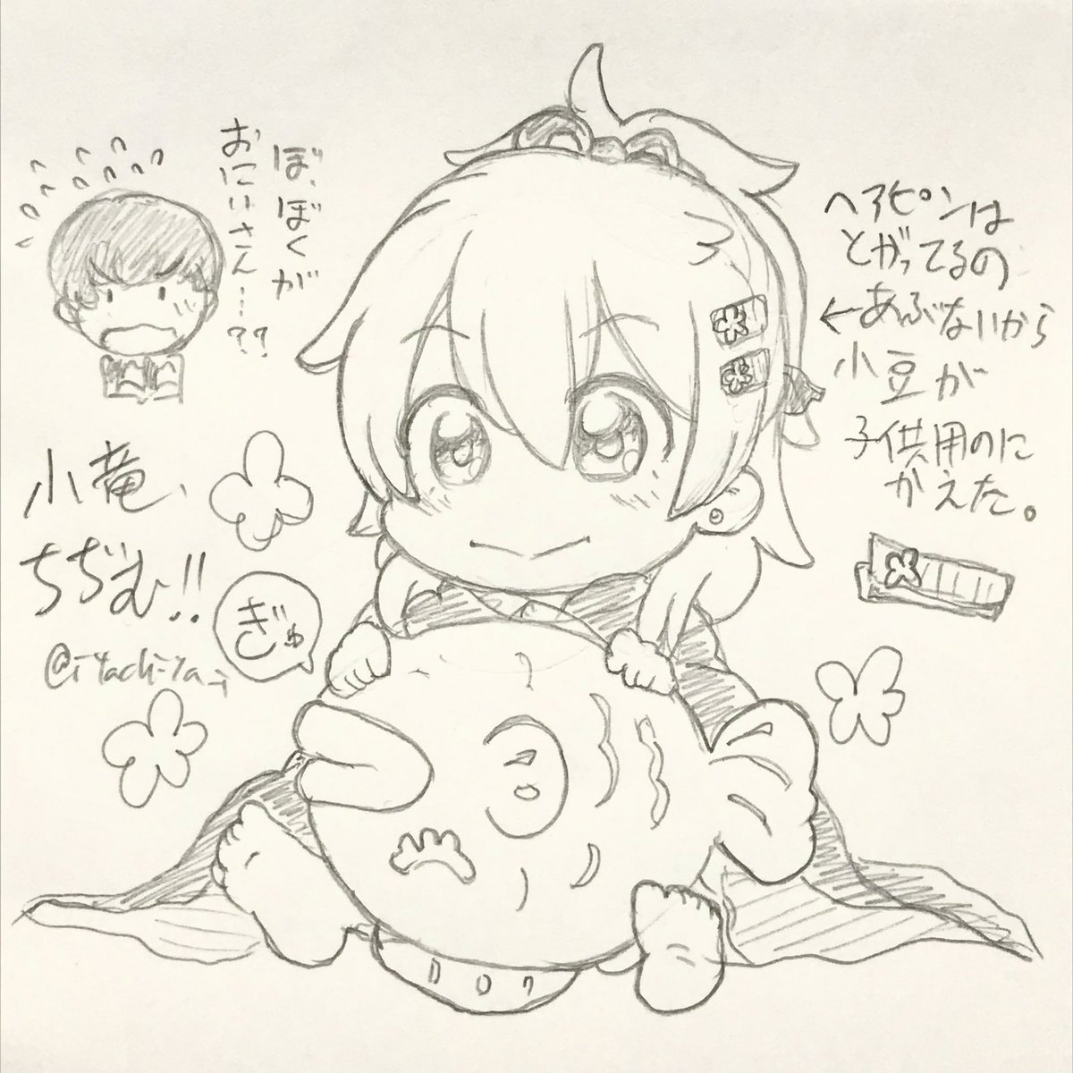 これはバグで赤ちゃんになってしまった小竜と、おにいちゃんになった謙信くんと、保護者