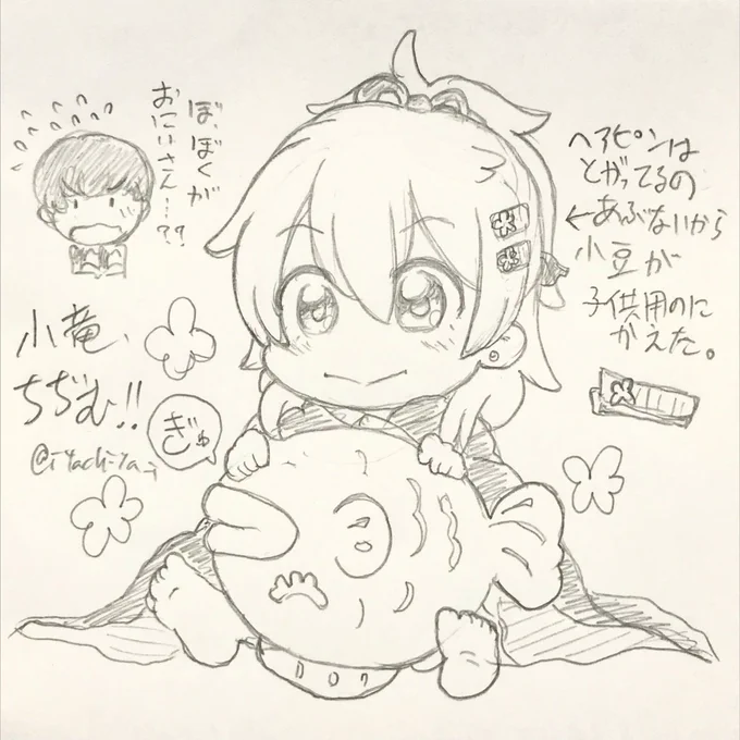 これはバグで赤ちゃんになってしまった小竜と、おにいちゃんになった謙信くんと、保護者