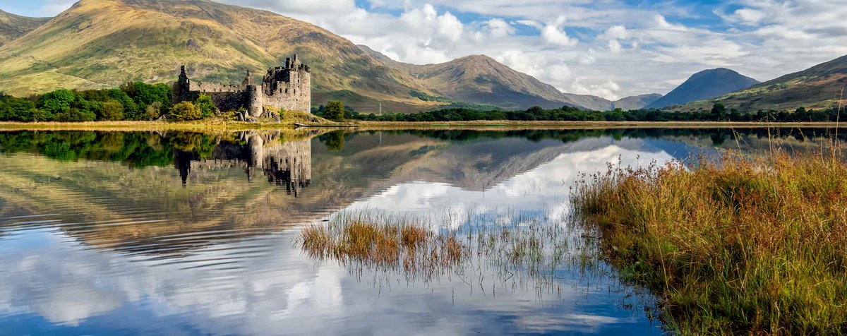 Randy_Marshall's tweet image. According to @AncestryCA I&apos;m 6% Scottish🏴󠁧󠁢󠁳󠁣󠁴󠁿

It might be against the #DNALaw if I don&apos;t!🤔 🚓👨‍⚖️

See you there #KeepOnCISN💋