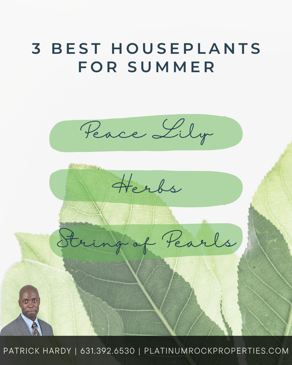 Spruce up your space this summer with these houseplants that are perfect for the season! 🪴🌿 #greenthumb #homedecor #longislandrealestate  #homeowner #lirealtor