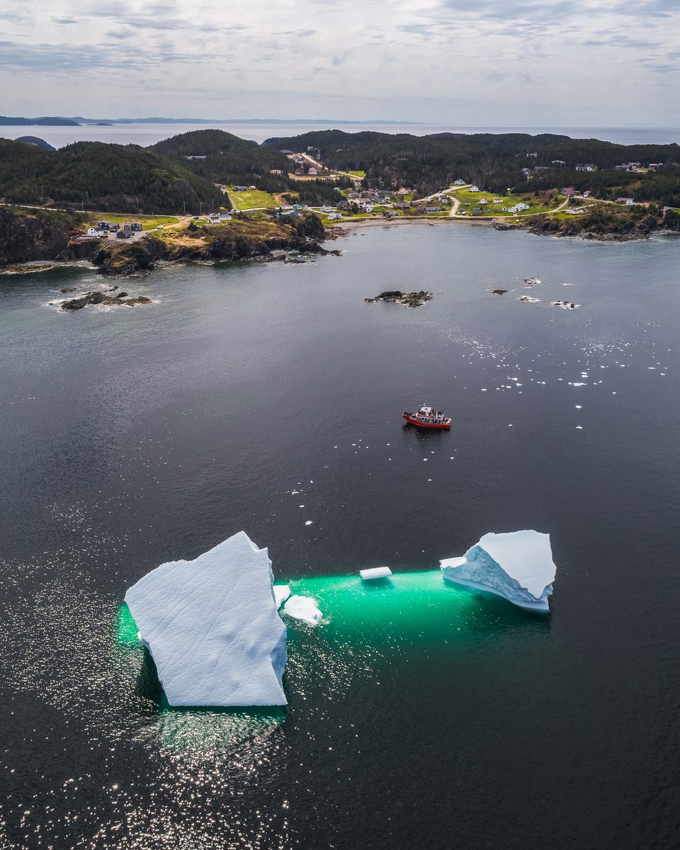 A gigantic iceberg in the harbour of Twillingate, towering over an Iceberg Quest tour boat. It can sometimes be hard to tell how big these ice giants really are, but I think this photo does a good job showcasing their true size! 🛶 #ExploreNL #ExploreCanada #IcebergsNL