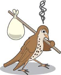 MnSM_77's tweet photo. The multifaceted nature of the problem requires fighting it from many directions to ensure success. Otherwise, missing with the livelihood of birds migration put them in danger and restrict their movements, which affects the ecological stability as a whole. #39canimals https://t.co/Kz0z7RdkFW
