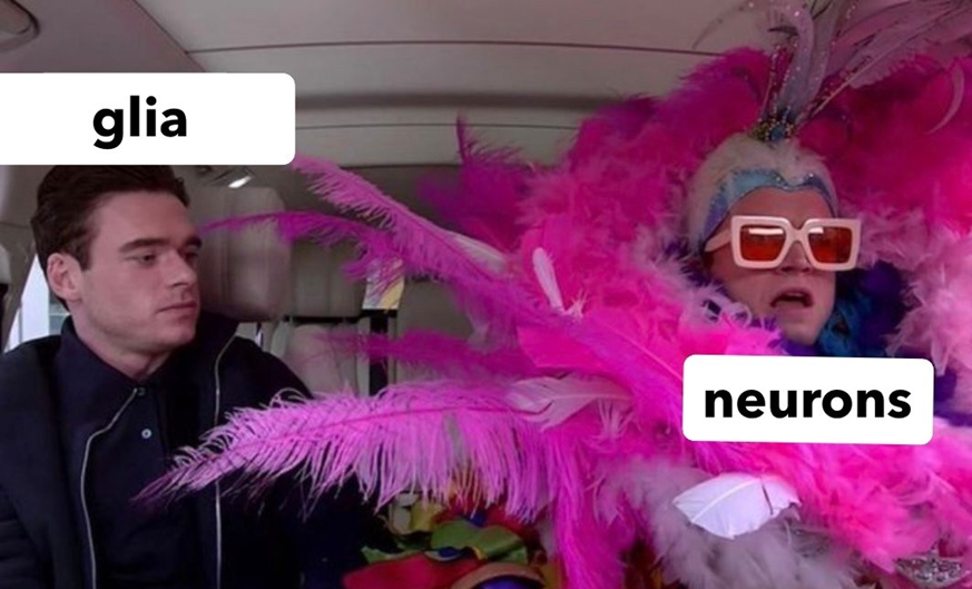 Danielle Beckman tweet media