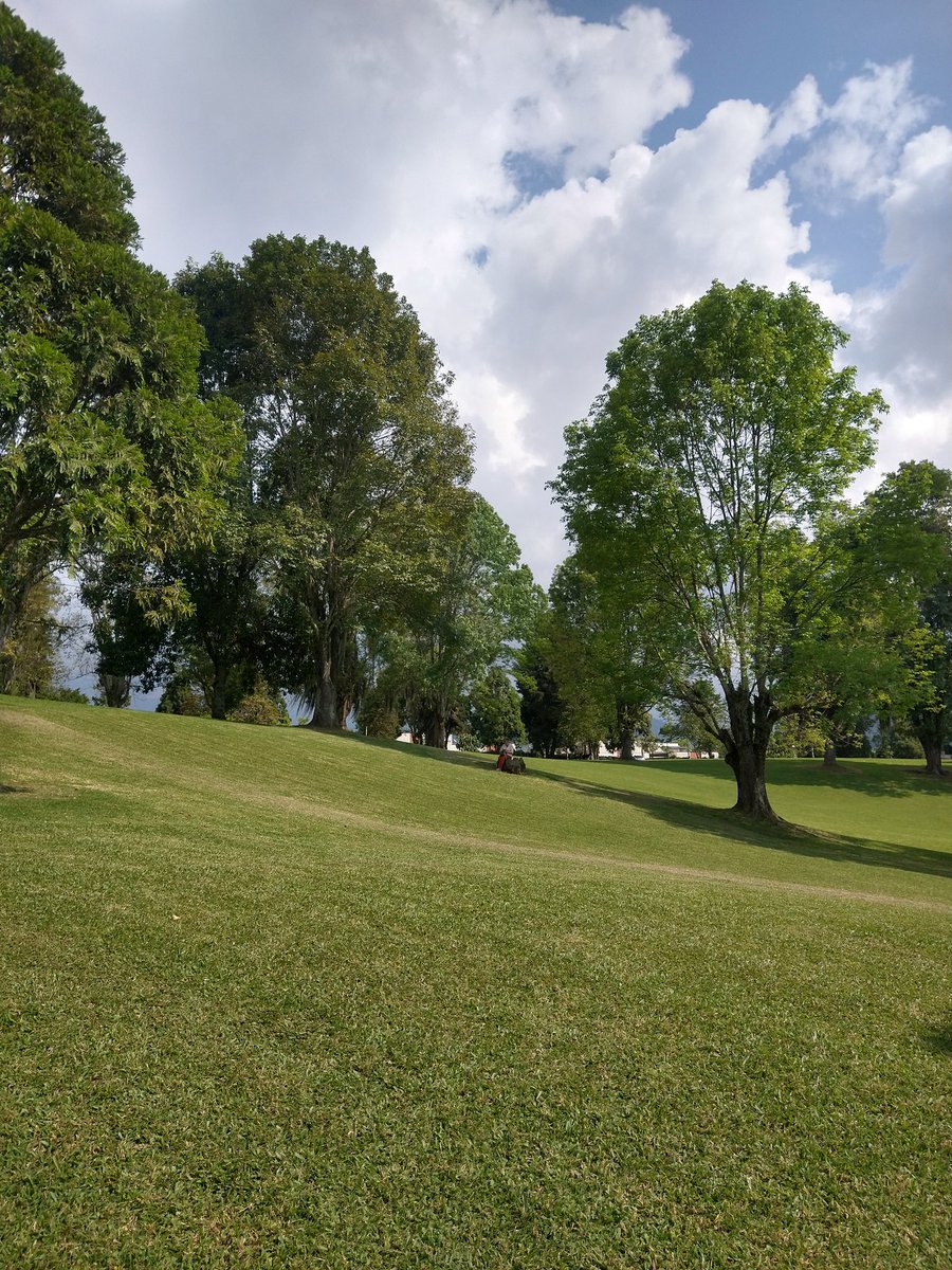 liclemevi's tweet photo. @MiguelOrlandoAM #bosquepopular en Manizales 💚🌳🌲🌿 https://t.co/eHDNYiFMF3