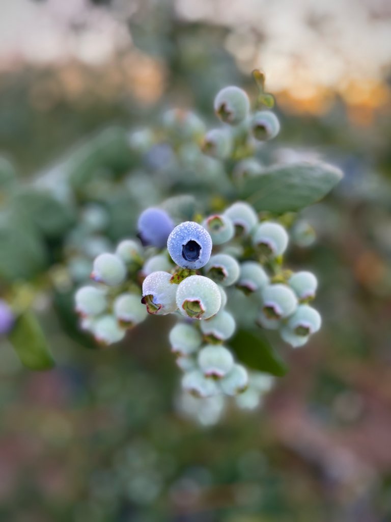 Sallყ Jσllყ (@sally5475) on Twitter photo 