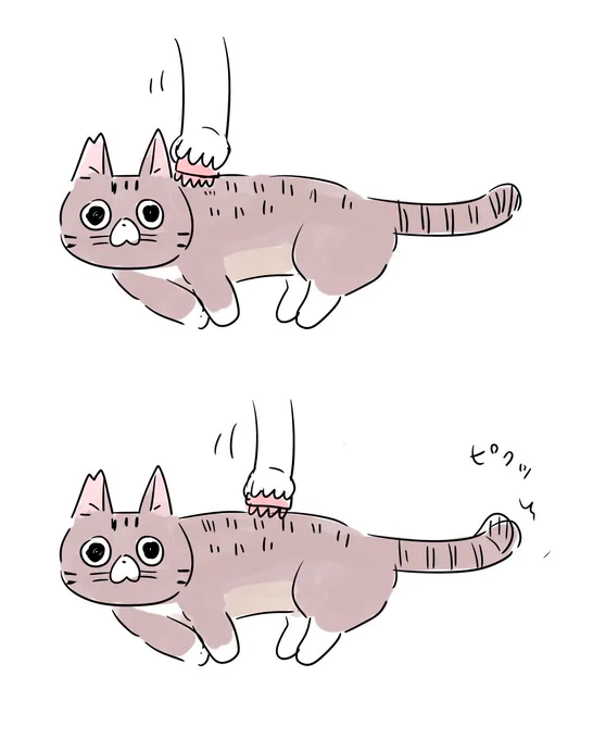 テッチャンをブラシするとき、どこが嫌なのか尻尾が反応するのでわかりやすい。#テチモグ日記 #テッチャン日記