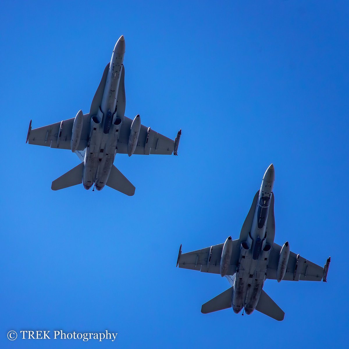 OVER HEAD

#VMFA115
#SilverEagles
#FA18 
#joker 
#blade 
#lasthornet 
#RJTA 
#厚木基地
#PENTAX 
#pentax_da560