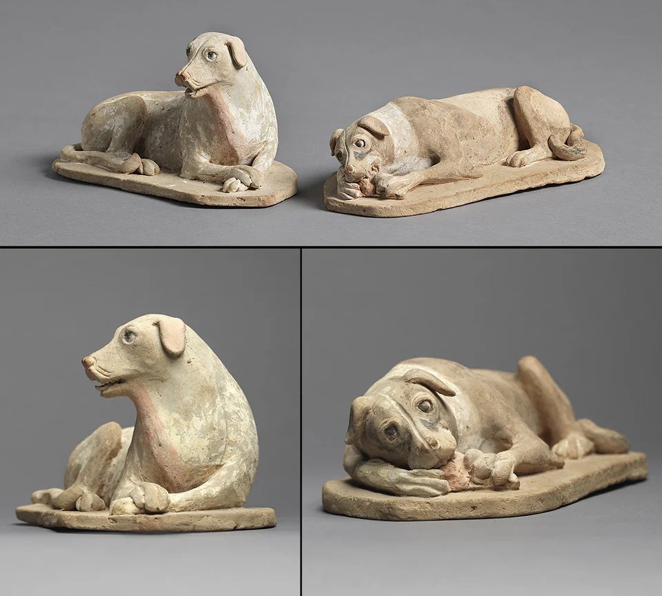 SarahBlick3's tweet photo. #Mingqi Tomb figures from Six Dynasties Period (220-589 C.E.), China once part of the Norman Kurland Collection. The lifelike rendition of the dogs and their expressions is impressive and adorable.
https://t.co/qWBgX0xLom
https://t.co/rLCjXcSqBo https://t.co/zcnly3BLI6