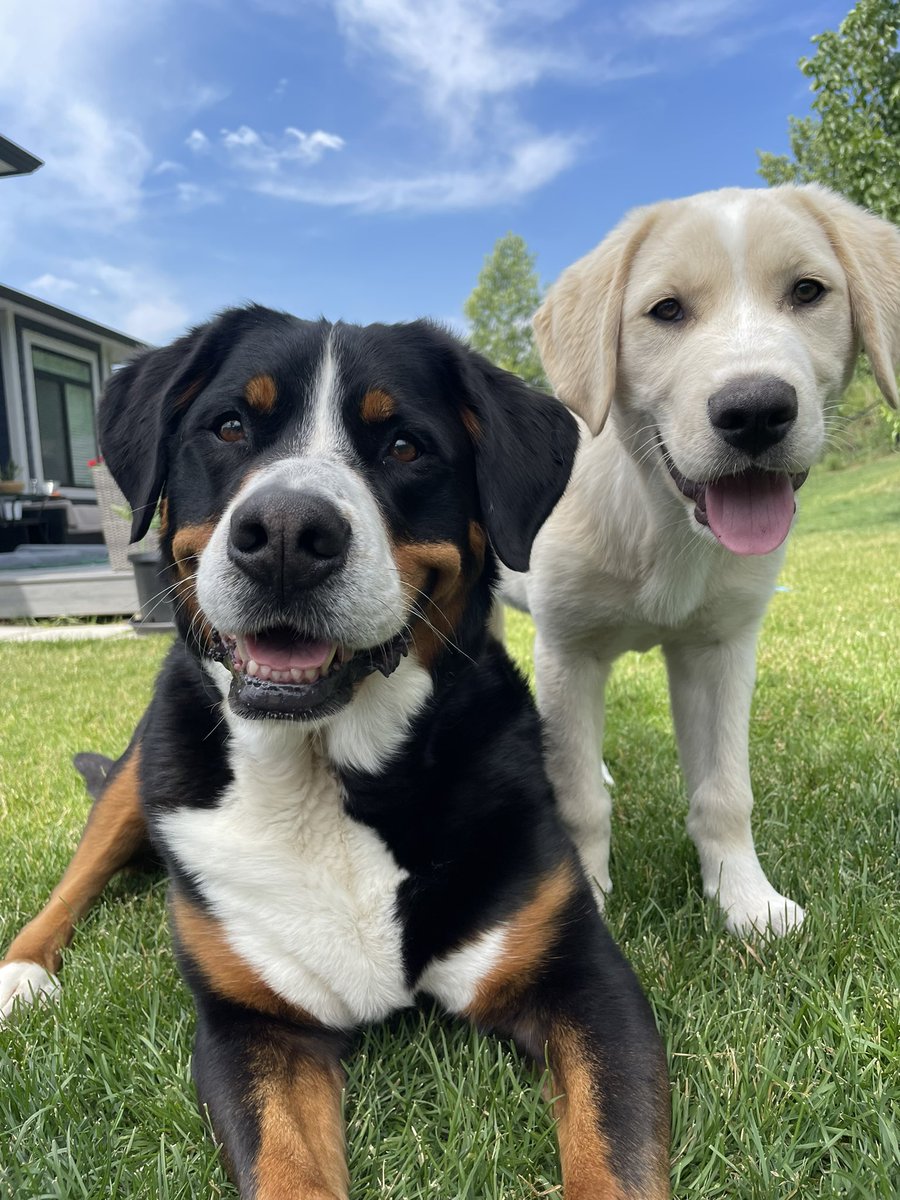 Chris (@chris_jordan213) on X, image size:900x1200