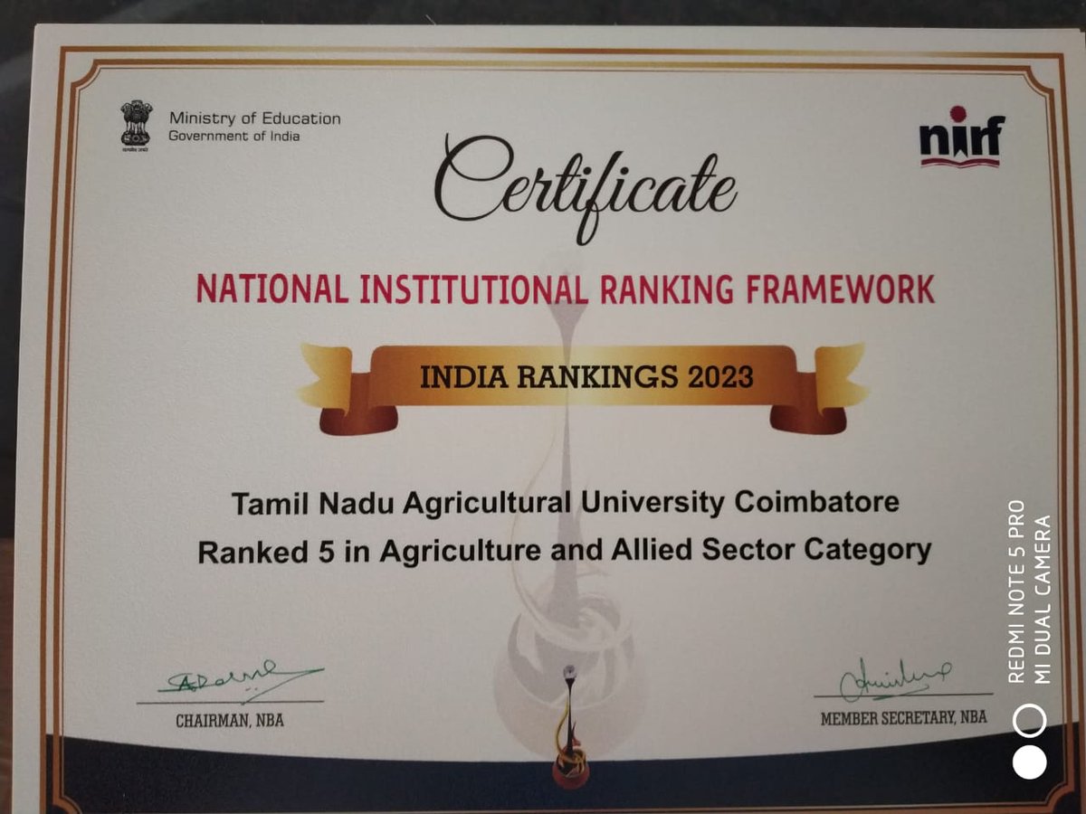 TNAU_coimbatore's tweet photo. TWT#063 - NIRF Rankings -TNAU stands 5th under Agriculture and allied sectors category out of 152 Institutions across the country and 2nd among the State Agricultural Universities of India
#nirfrankings2023 https://t.co/1PtwFE3LJ4