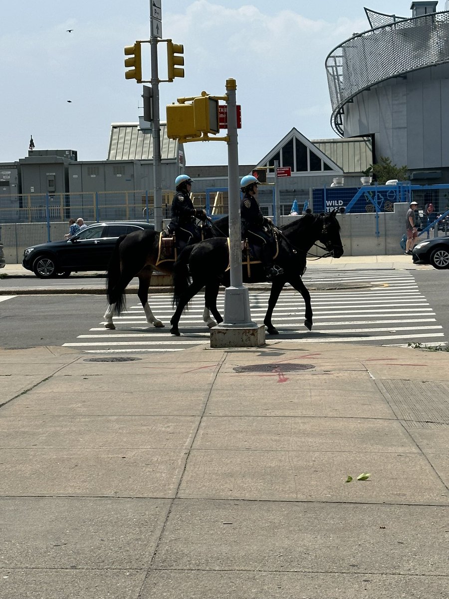 RandomRoman89's tweet image. Coney Island