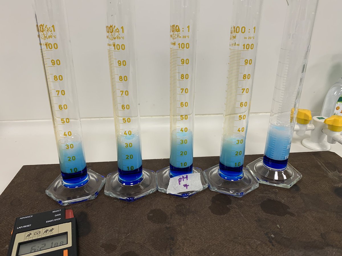 BeckRSaunders's tweet photo. #IB #Biology #PrescribedLab3 … my Yr 11s did an amazing job today getting their Lab 3 up and running https://t.co/Q8UwJDwRef
