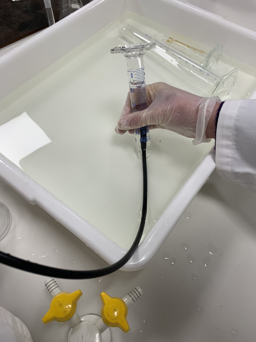 BeckRSaunders's tweet photo. #IB #Biology #PrescribedLab3 … my Yr 11s did an amazing job today getting their Lab 3 up and running https://t.co/Q8UwJDwRef