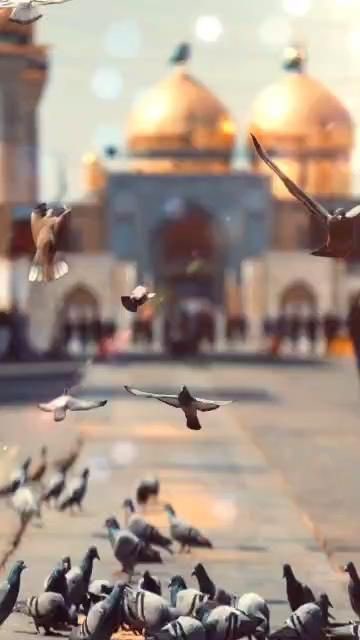 DelightReza's tweet photo. Condolences to Ahlulbait (ع), Imam e Zamana (عج) and all the lover of Ahlulbait (ع) on the Martyrdom Anniversary of Imam Mohammad Taqi (ع)

#شہادتِ_امام_تقی_الجوادؑ
' Imam Taqi ع '
' Al Jawad ' https://t.co/K4XAIbT9Rb