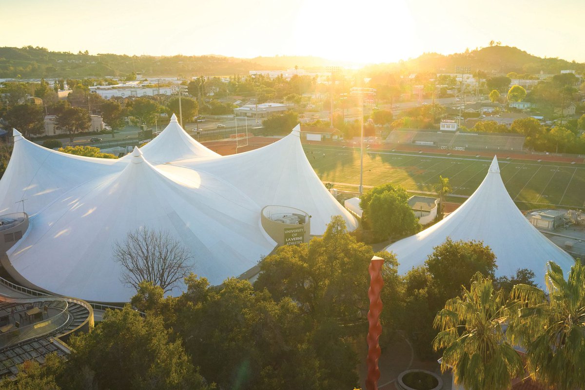 Coach Trent Mondini tweet media