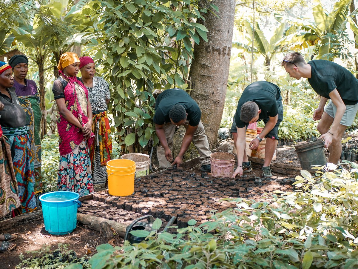 Planting trees for a greener tomorrow! 🌱🌍 Join the movement, make a difference. 🌳💚 #TreePlanting #GreenFuture #LFPlant