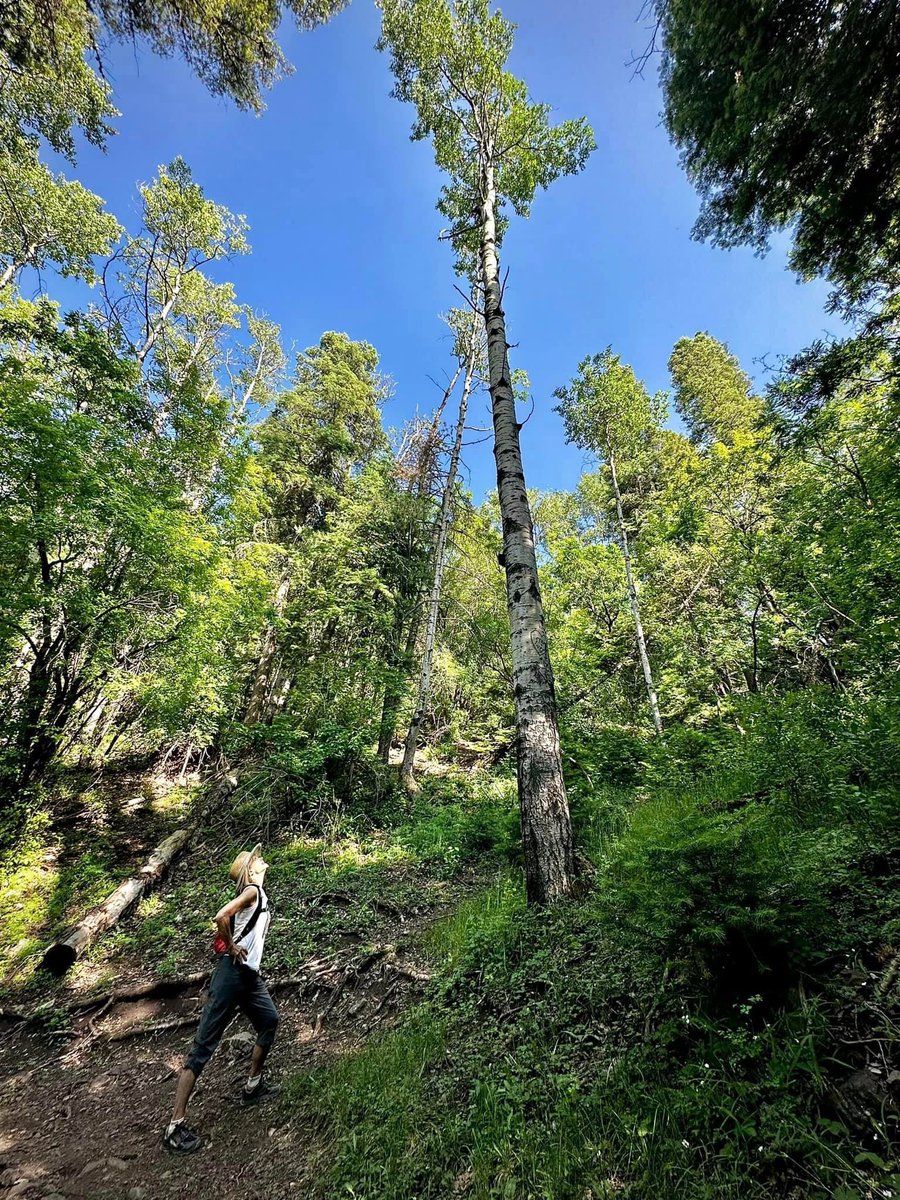 Square1Wellness's tweet photo. Sneaking up on #66 😀#takingsometimeoff #NewMexico #roadtrip #dangiamold #healthcoach #birthdayaroundthecorner #fitover60 #getoutside https://t.co/I84ly2u7MZ