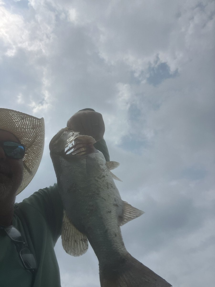 Took my son, we had a great day! On #GoFishingDay