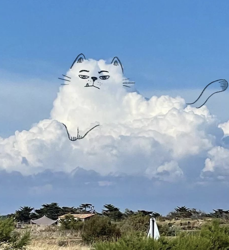 Noé Roa on Twitter: