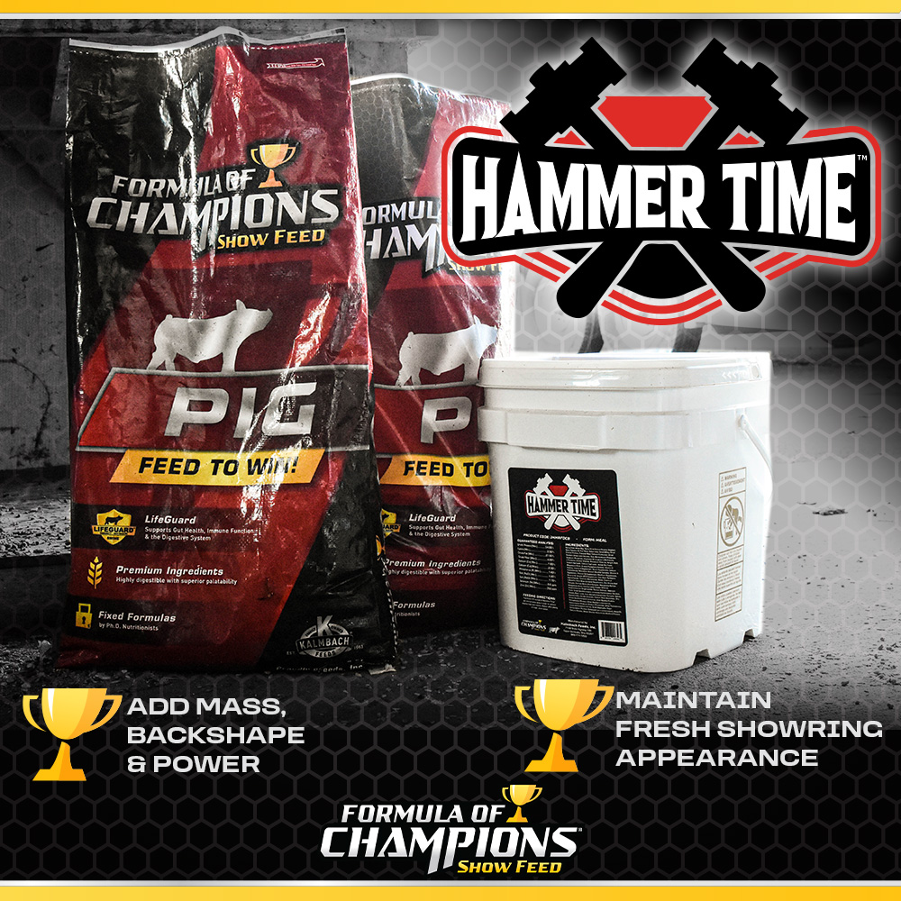 The Pig Planet tweet media