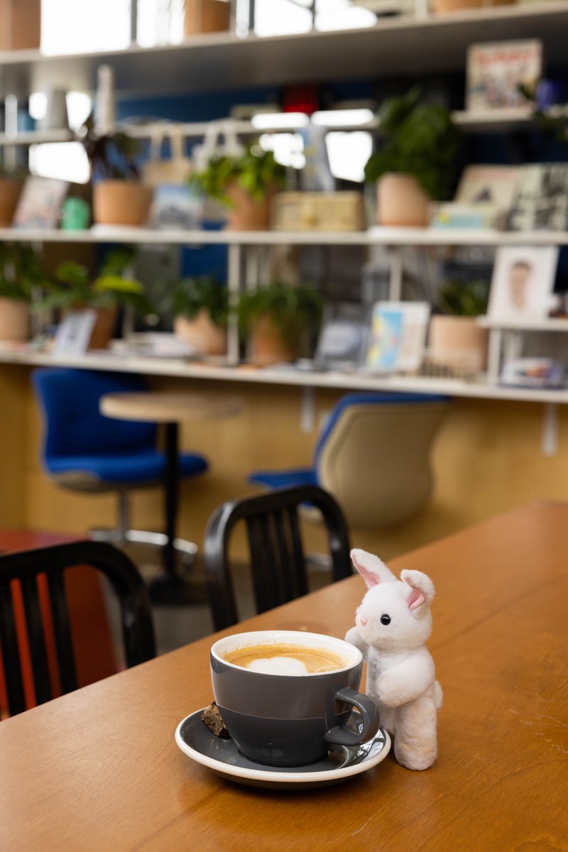 MiaRabbit's tweet photo. Coffee Sunday #MiaRabbit https://t.co/5fJioaNpgL https://t.co/aJQ01r1pnP