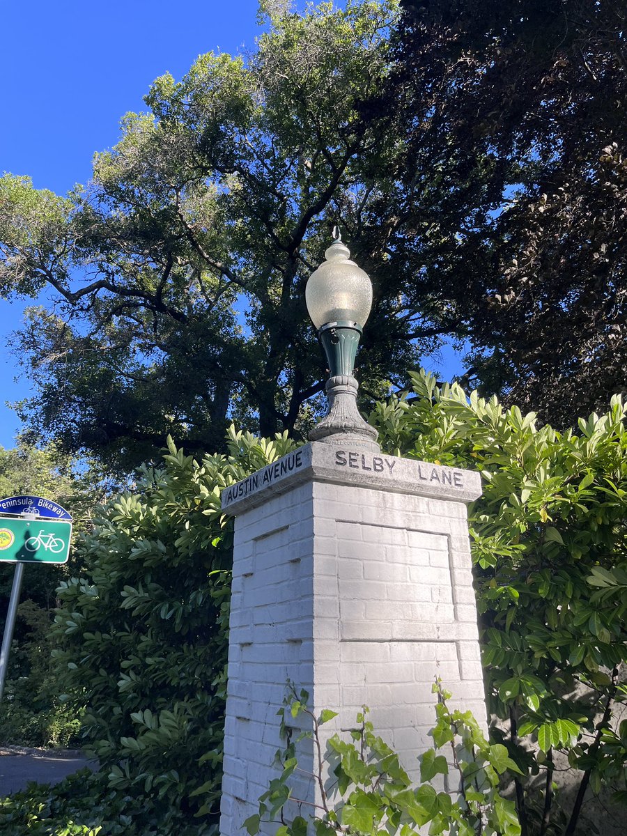 高級住宅街アザートン。
鳥の鳴き声と風のそよぐ音しか聞こえなかった。