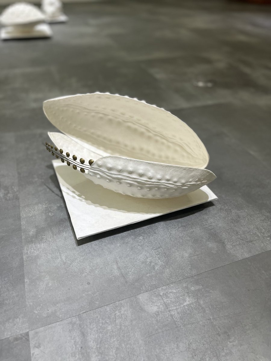 小堺勝さん<a href="/MasaruKozakai/">小堺勝</a>個展「生の器」
MEDEL GALLEY SHUにて。

繊細で美しい中に、命を守る強き姿を垣間見たような・・・✨
全ての作品が地面に置かれていて、とても神秘的な展示空間でした✨

#IGおすすめ展示会 

medelgalleryshu.com/masaru-kozakai…
