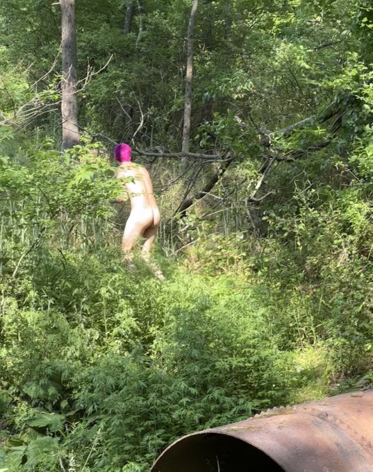 Anyone know what kind of animal this is? https://t.co/lzZDupG1CT