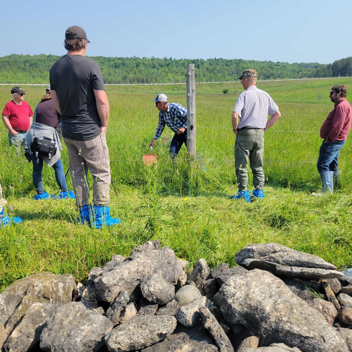 Thank-you to everyone that attended our Advance Grazing Management pasture walk on Saturday.