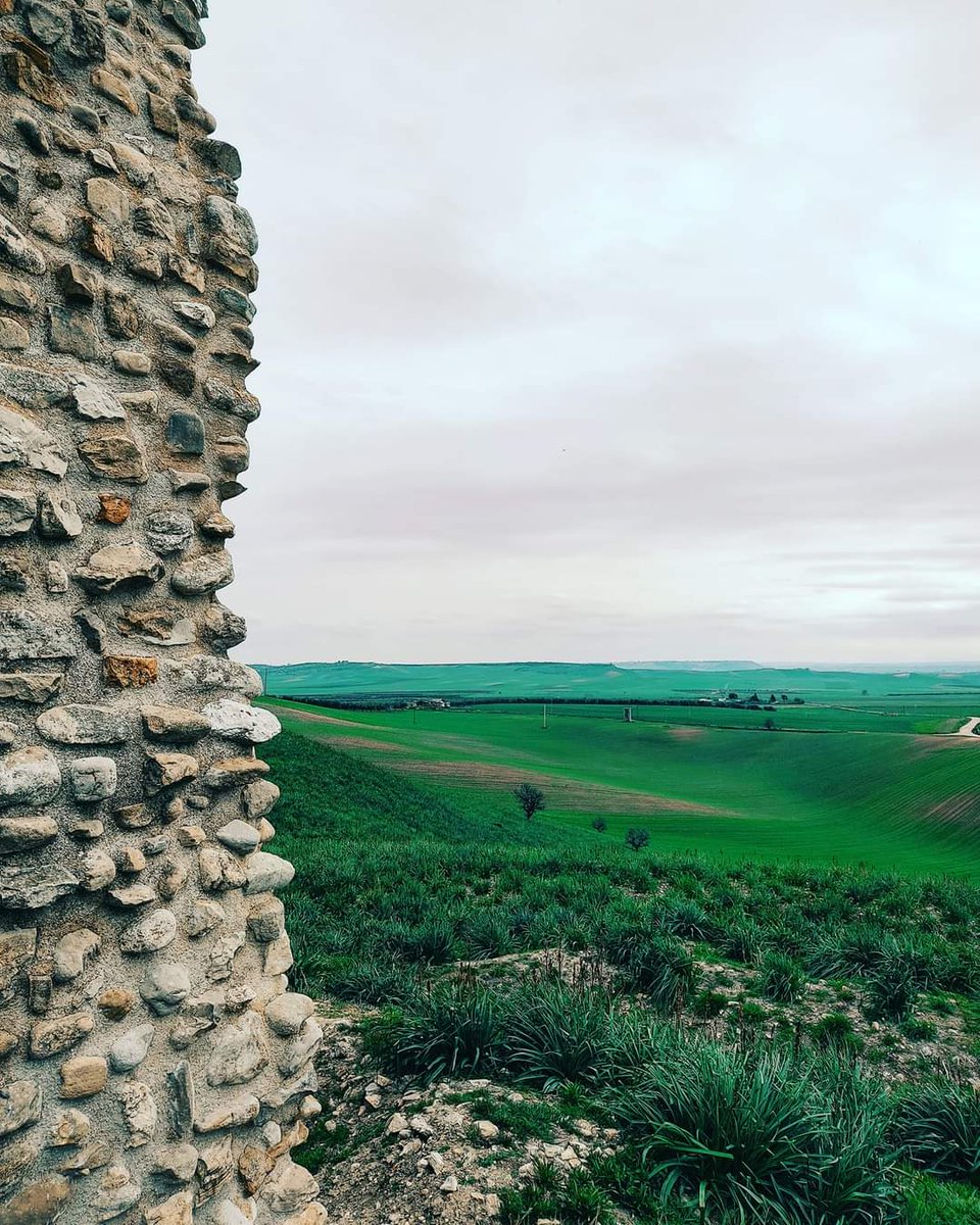 La vista sul territorio circostante dai resti del Castello di Castel Fiorentino (Torremaggiore- FG), luogo della morte di Federico II.