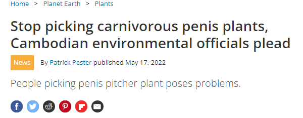 ToWitze's tweet photo. penisz flanze https://t.co/2vyNUmIqm6