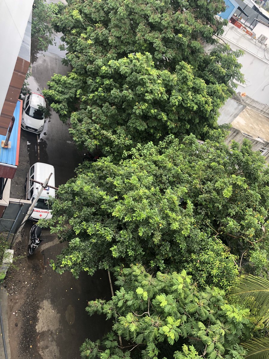 Amazing to see no water logging #Velachery #Chennai