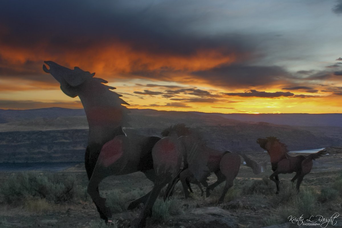 Kristin L. Raught on Twitter "Spent sunset at the Wild Horse Monument