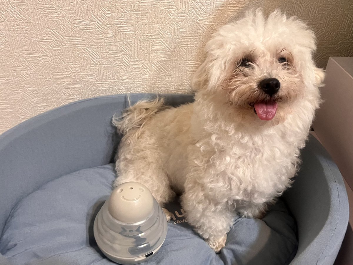 よんよん（YonYon） (@koyo_kanazawa) / Posts / X