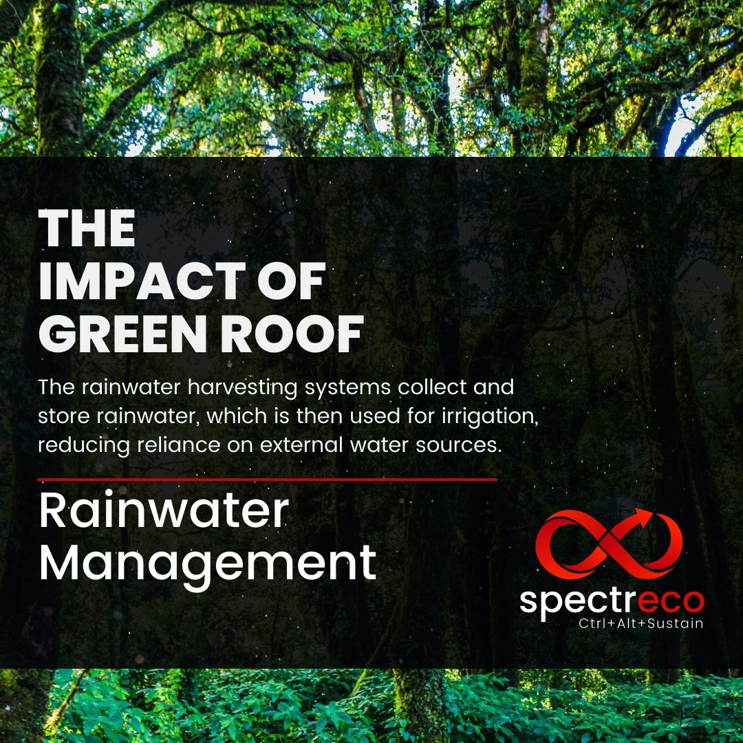 spectr_eco's tweet image. Did you know that green roofs and effective rainwater management can have a significant positive impact on the environment? 🌿💧

#SustainableLiving #GreenRoofs #RainwaterManagement #EnvironmentalImpact