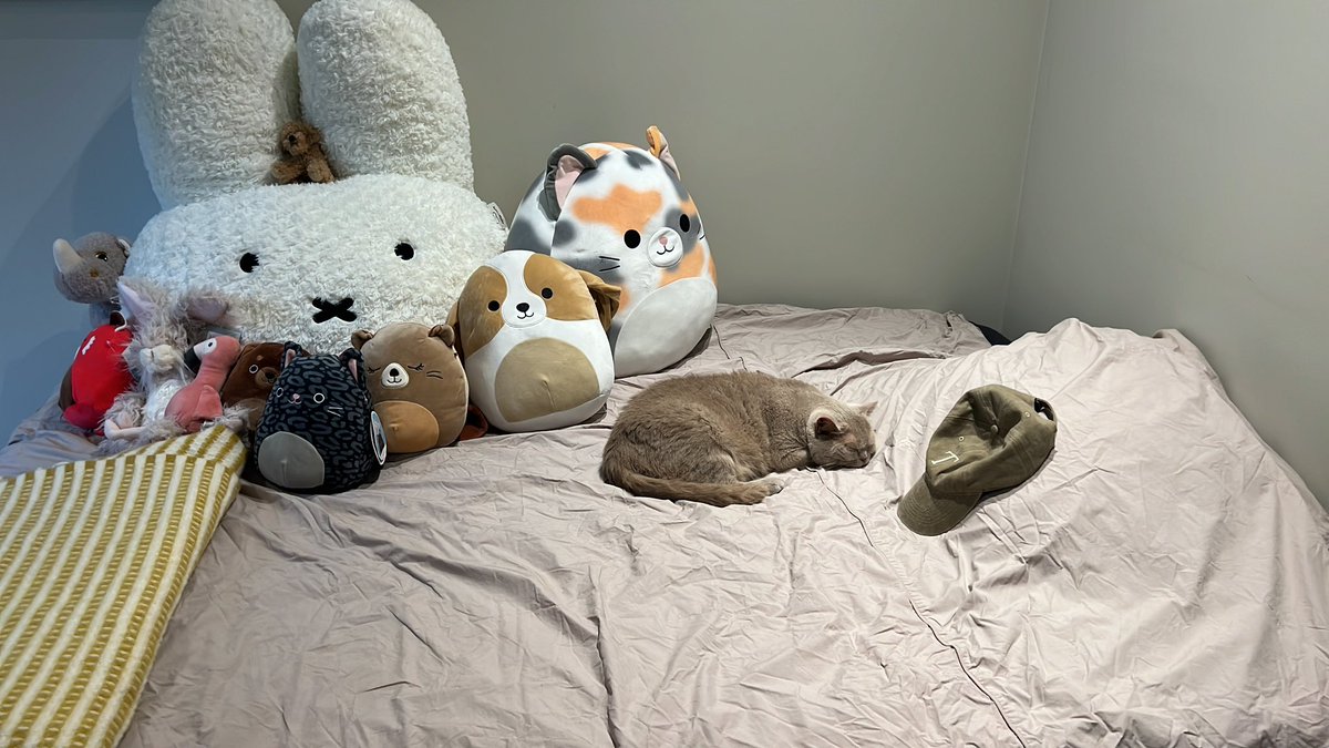 Renee Meijer tweet media