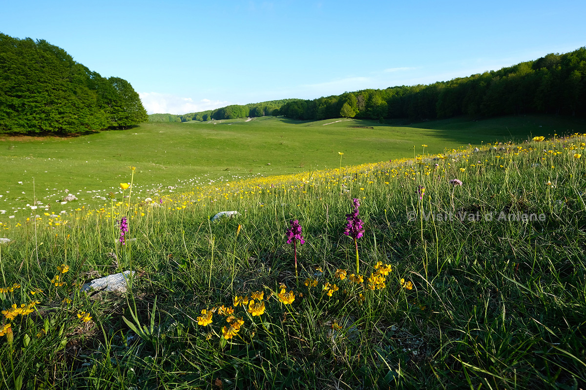 visitvaldaniene's tweet photo. Benvenuti a Jenne, nel Parco dei Monti Simbruini. Casette dai portali scolpiti, paesaggi mozzafiato, e se vi piace l'avventura, sono tanti i sentieri da esplorare! Jenne è la meta perfetta per staccare la spina e godersi un borgo immerso nella natura
#Jenne #valdaniene #simbruini https://t.co/XDaq9Ekc85