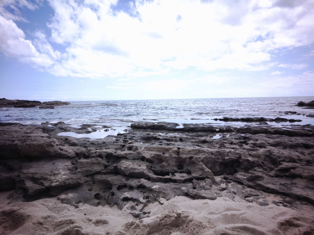 xariaaanne's tweet photo. 📍Ko Olina, HI https://t.co/2eWmgpbLYz
