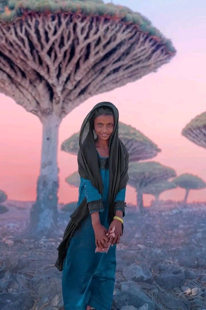 Good morning from Socotra Yemen