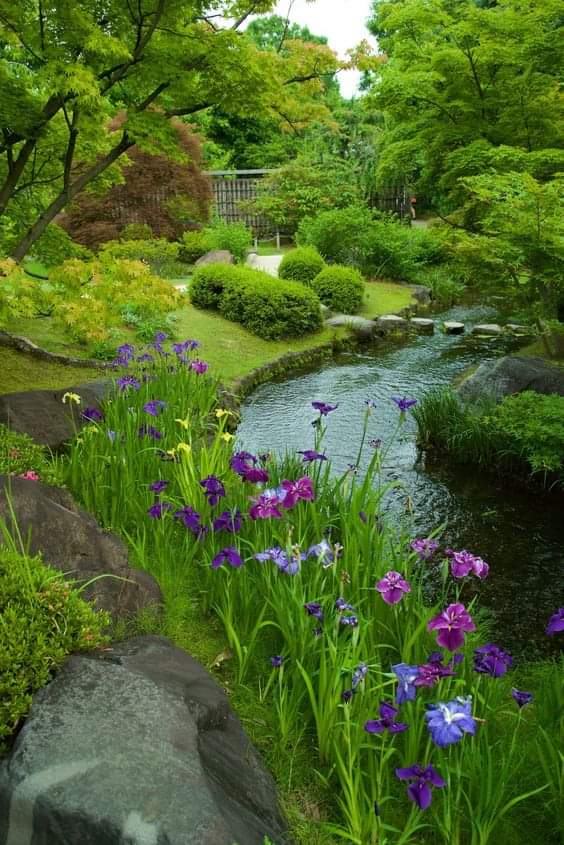RenataZeph41378's tweet photo. 自分の内なる声に耳を傾け、真実の自己を見つけよう。
 #SamuraiGG
https://t.co/OSOSmIavSY