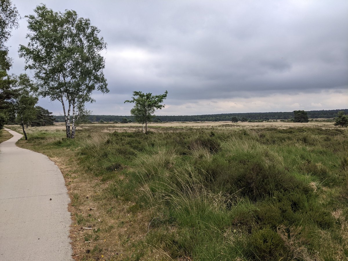 Het is geen straf om weer een keertje met de fiets naar het werk te gaan! <a href="/SLGelderland/">Stichting Landschapsbeheer Gelderland</a>
