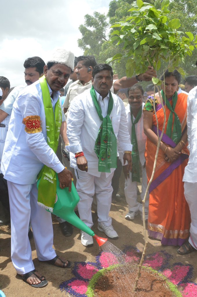 KTRBRS's tweet photo. దశాబ్దాల పాటు 
ధ్వంసమైన పర్యావరణానికి వరం
మహోద్యమంలో సాగుతున్న 
తెలంగాణ హరితహారం

230 కోట్ల మొక్కలు 
నాటాలన్న సమున్నత సంకల్పం
ప్రపంచ చరిత్రలోనే 
ఇది మూడో అతిపెద్ద మానవ ప్రయత్నం
33 శాతం గ్రీన్ కవర్ ఆశయం..
పుడమితల్లికి వెలకట్టలేని ఆభరణం.

#తెలంగాణదశాబ్దిఉత్సవాలు
#TelanganaFormationDay