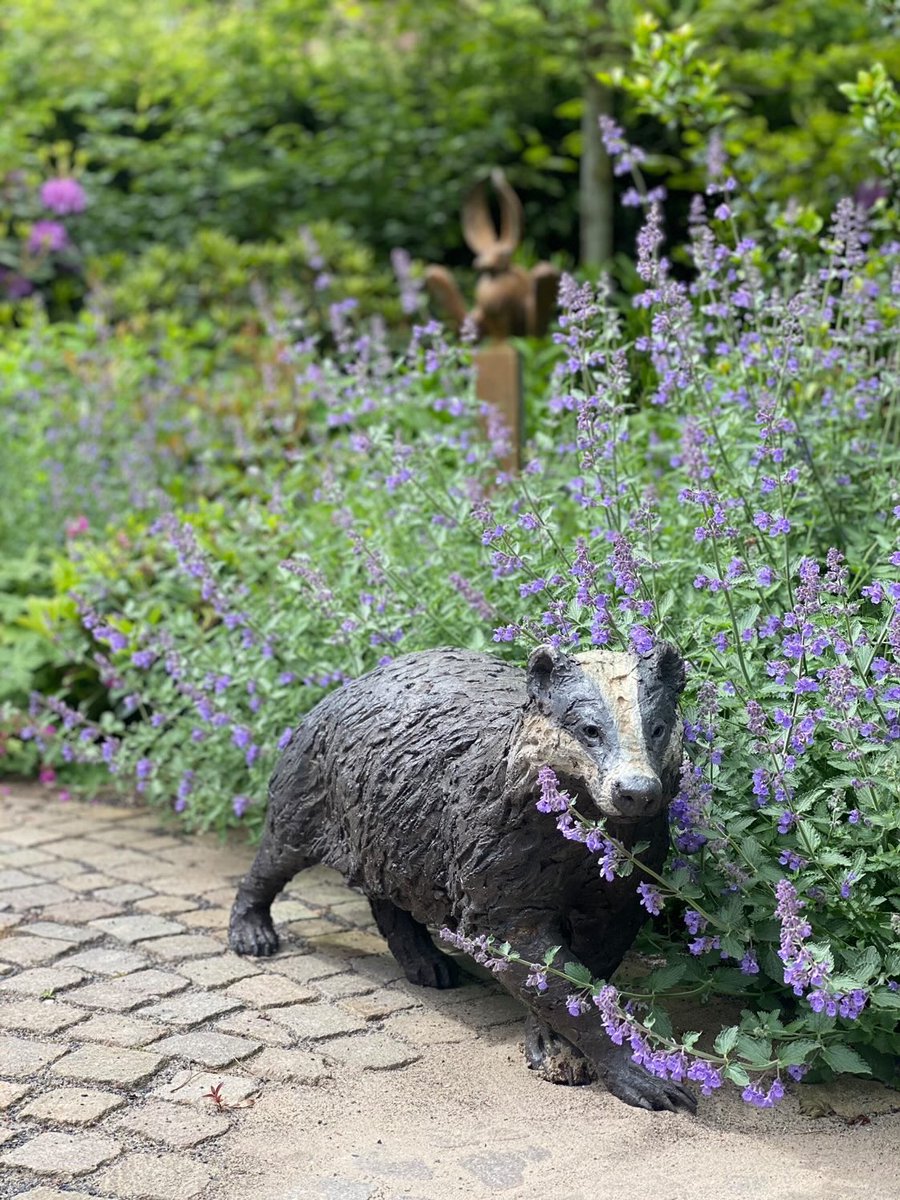 Badger 2017 looking very at home in a client’s garden.

hamishmackie.com/sculptures/bad…

#badger #countryside #britishcountryside #bronzeart #bronzesculpture #bronzestatue #sculpture #artwork #statue #landscapeart #gardenart #gardensculpture #gardenstatue #outdoorart #outdoorsculpture