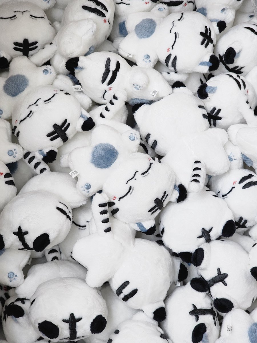 현재 뇨랑이들은 한국에 도착해 검수/포장과정에 있습니다!
이번주 중 순차배송예정이며, 배송이 시작되면 다시 한 번 안내드리겠습니다🧡