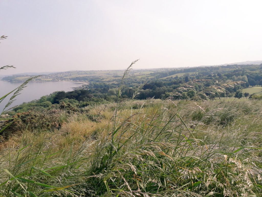 Paul Kelly tweet media